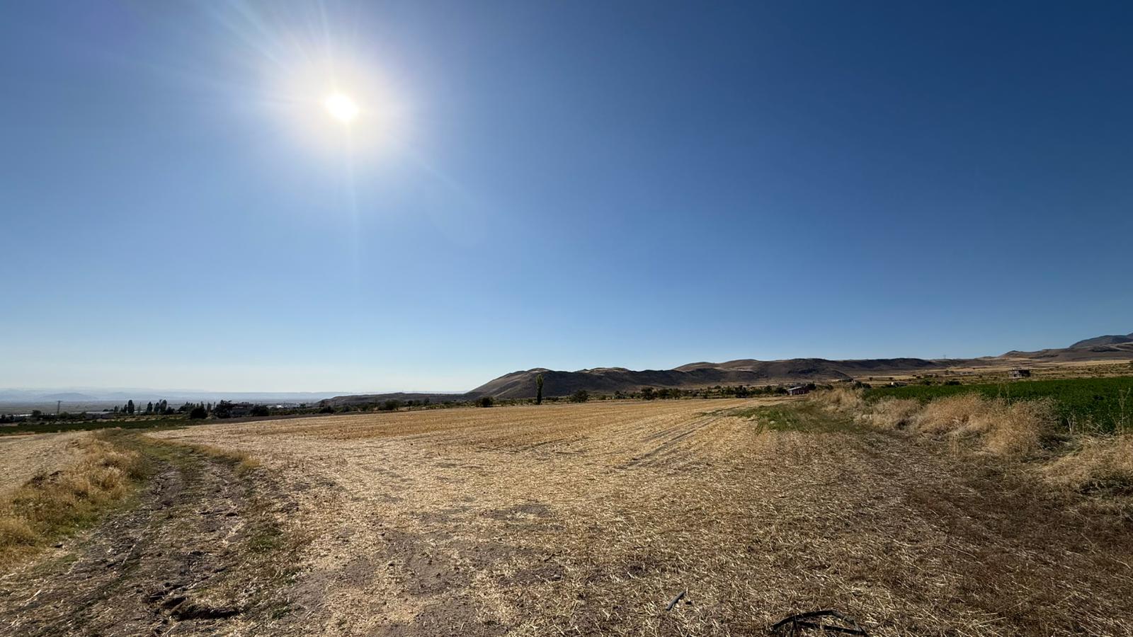 KAYSERİ DEVELİ REŞADİYE MAHALLESİ GÜZELCE MEVKİİNDE SATILIK TARLA